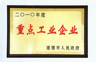 2010年度重點工業(yè)企業(yè)